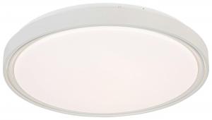 Потолочный светодиодный светильник, металл/пластик, степень защиты IP20 Novel, белый/прозрачный