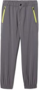 Походные брюки Columbia Boys Daytrekker Pant, City Grey