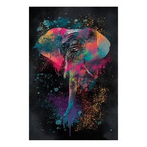 Фреска Artgeist Colorful Safari, 90 см, разноцветный