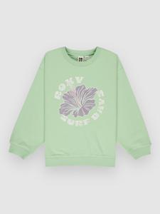 Свитер Roxy Morning Hike Brushed Rg Kids Sweater, pistachio green