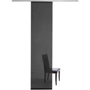 Раздвижная штора Манхэттен на панельной каретке, 1 шт., современный стиль, для гостиной и спальни Homing, черный