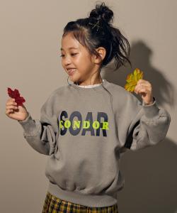 Толстовка с флисовой подкладкой и принтом «Дьявольская лаборатория» с крупным силуэтом, коллекция осень-зима 2025 Devirock, цвет 004-Logo-D Greige