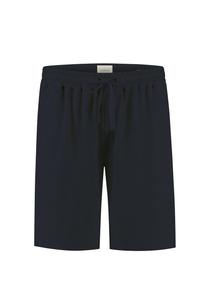 Обычные брюки Dstrezzed Logan, темно-синий