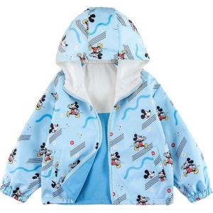 Весенне-осенняя мода повседневный мультяшный реверсивный худи Disney, синий