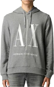 Толстовка с капюшоном Armani Exchange Icon Project с вышитым логотипом