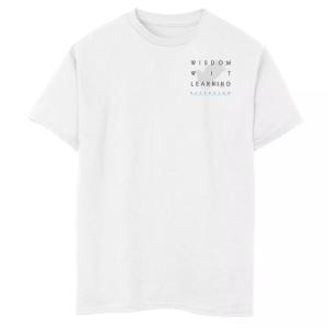 Футболка с рисунком «Гарри Поттер Равенкло» для мальчиков 8–20 лет на левой стороне груди Harry Potter