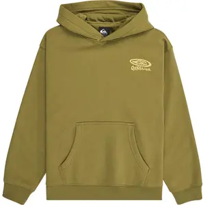 Худи Quiksilver Salt Water Graphic, зеленый