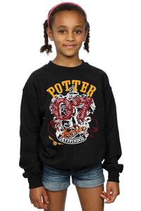 Толстовка Гриффиндора Искателя Harry Potter, черный