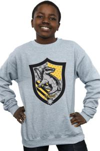 Толстовка с гербом Хаффлпаффа на плоской подошве Harry Potter, серый