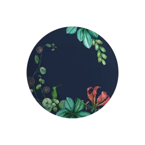 Тарелка Villeroy & Boch Avarua, 22 см, черный