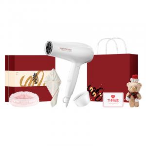 Фен термостатический и быстрая сушка холодным и горячим воздухом портативный, unisex PH1625 POREE