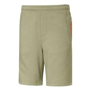 Шорты Converse Utility Shorts 'Summit Sage' 10019593-A01, зеленый