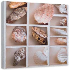 Фрески Feeby Muscheln Natur Collage, бежевый