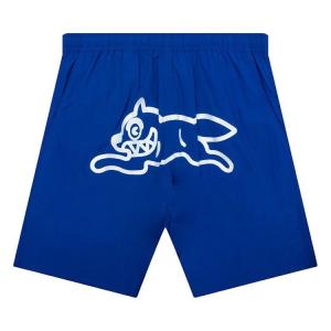 Шорты Icecream Ruuner Shorts, Victoria Blue