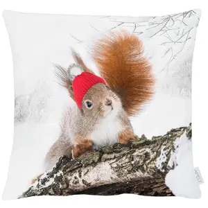 Наволочка 3702 Apelt, белый