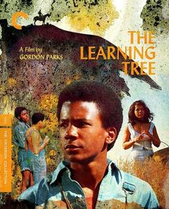 Диск Blu-ray The Learning Tree [1969] [Criterion]