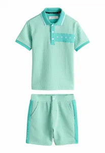 Шорты из фактурной ткани стандартного кроя Baker By Ted Baker, Green