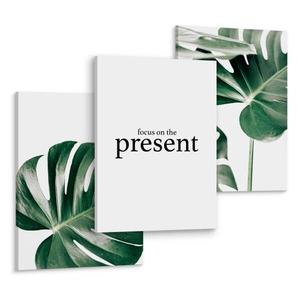 Картины на холсте Muralo Set Blätter Zitat Natur цвет schwarz/grün/weiß