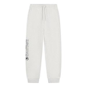 Штаны трикотажные спортивные штаны с логотипом badfive Li-Ning, серый