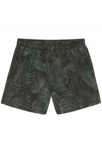 Шорты для серфинга s.Oliver, оливковый/темно-зеленый