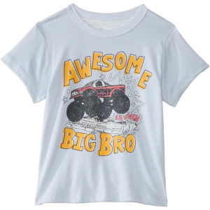 Футболка Chaser Awesome Big Bro Tee, цвет Sky Blue