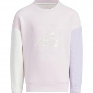 Спортивный свитер Adidas розово-черный для детей 3-7 лет