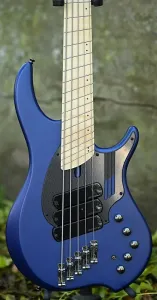 Dingwall NG3 Адам «Нолли» Гетгуд Сигнатурная 5-струнная - Черника