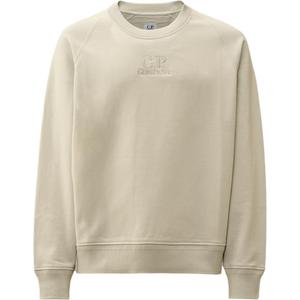 C.P.Company SS25 Свитшот Men's Blue Fox Gray