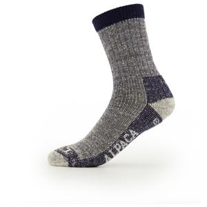 Походные носки Alpacasocks&Co Merino Hiking 2 Pack, цвет Blu