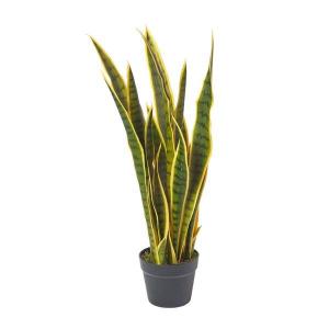 Декоративное растение Homescapes Sansevieria Trifasciata, 30x74x74 см, черный