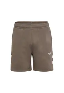 Спортивные шорты Hummel HMLLEGACY 2.0, Dark Night/Brown