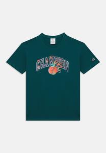 Футболка с принтом GRAPHIC GALLERY CREW NECK Champion, бежевый