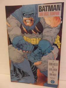 Batman, Dark Knight Triumphant (DC Comics Inc.)