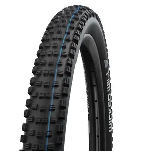 Шина для горного велосипеда Schwalbe Wicked Will Performance Addix 29´´ x 2.25, серебряный