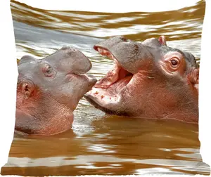 Декоративная подушка MuchoWow для дивана, декоративная подушка для гостиной, 40x40 см, Бегемот - Животные - Вода - Фотоподушка - Украшение для спальни
