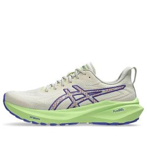 Кроссовки ASICS GT-2000 13 TR 'Nature Bathing Lime Green', серый
