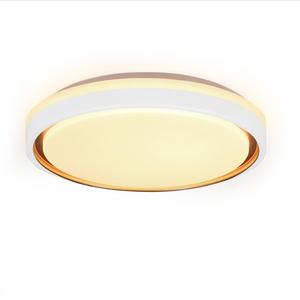 Светодиодный потолочный светильник Nettlife, 30x30x6 см, белый