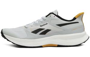 Reebok Кроссовки Floatride Energy 6 'Moon Grey Heritage Gold'