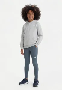 Леггинсы и брюки унисекс flex The North Face, Granite Grey