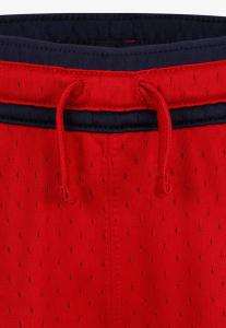 Спортивные штаны SPORT DIAMOND Jordan, красный