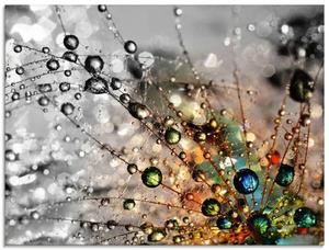 Стеклянная картина Artland Farbenfrohe Natur, 60x45x2 см, красочный