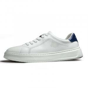 Поддерживающие, износостойкие, легкие и дышащие низкие мужские кроссовки для скейтбординга SENJIALUO, White Brown Tail