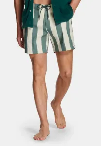 Плавки в широкую полоску Mr Marvis, Straws