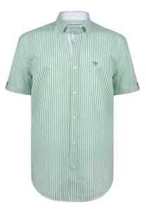 Рубашка на пуговицах классического кроя Felix Hardy, зеленый