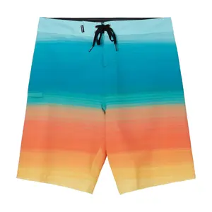 Мужские шорты для плавания Variety 20 дюймов O'Neill, Multi