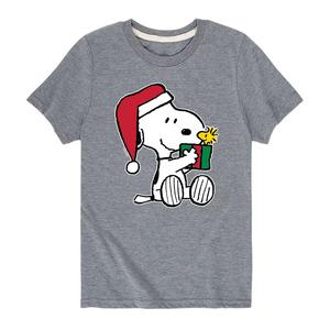 Подарочная футболка с рисунком Peanuts Snoopy Woodstock для мальчиков 8–20 лет Licensed Character, серый