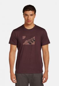 Спортивная футболка icebreaker 150 TECH LITE SS TEE WILD PACK, Java/Dark Brown