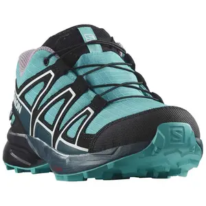 Походные ботинки Salomon Speedcross CSWP, синий
