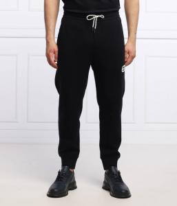 Штаны спортивные Emporio Armani Regular Fit, синий / белый