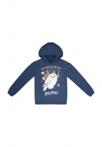 Толстовка «гарри поттер и хедвиг» Harry Potter, Blau